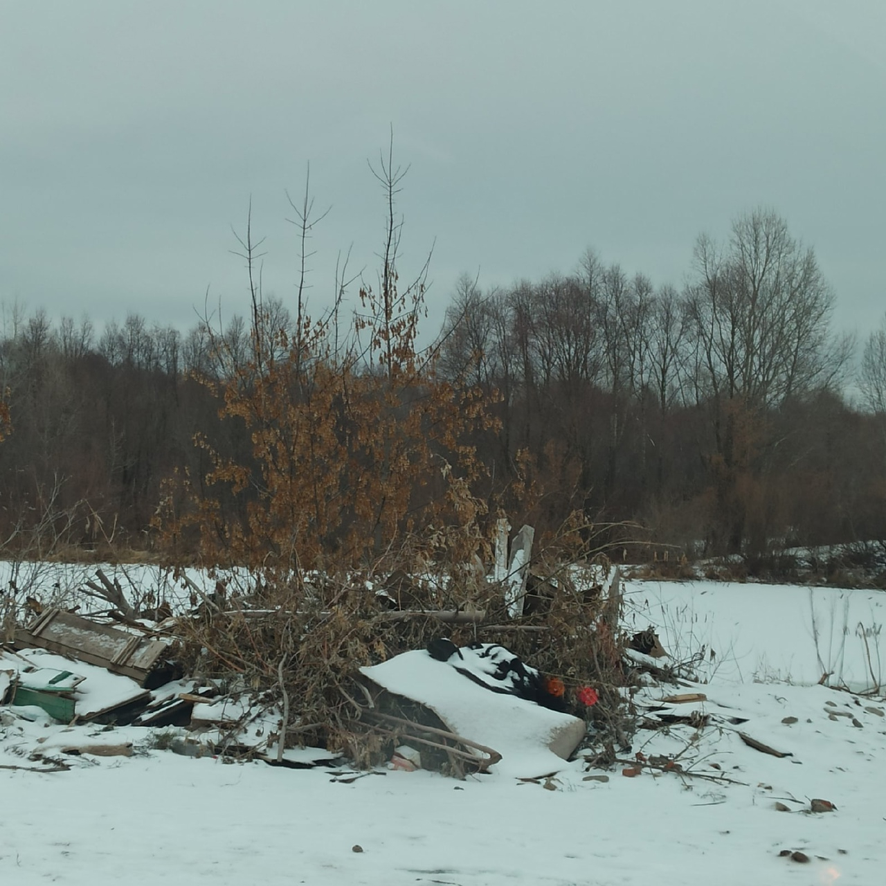 Несанкционированные свалки | Гражданский патруль - общественная организация